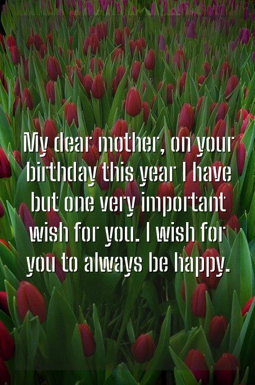Find the best happybirthday wishesfor yourmother